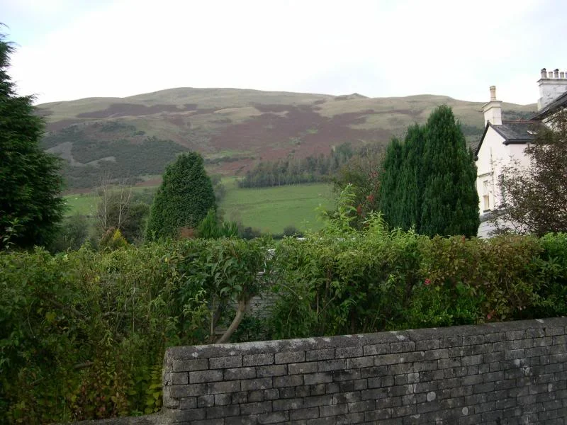 DSCN3375.webp
