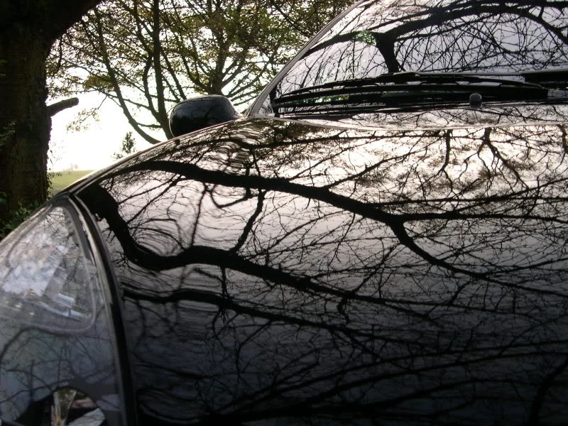 DSCN3420.webp