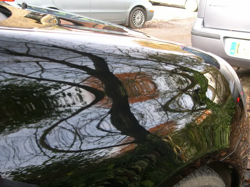 DSCN3421.webp