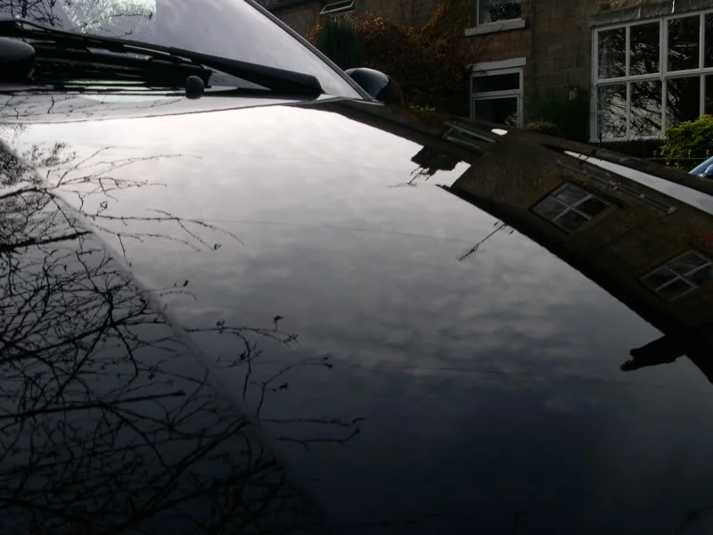 DSCN3425.webp