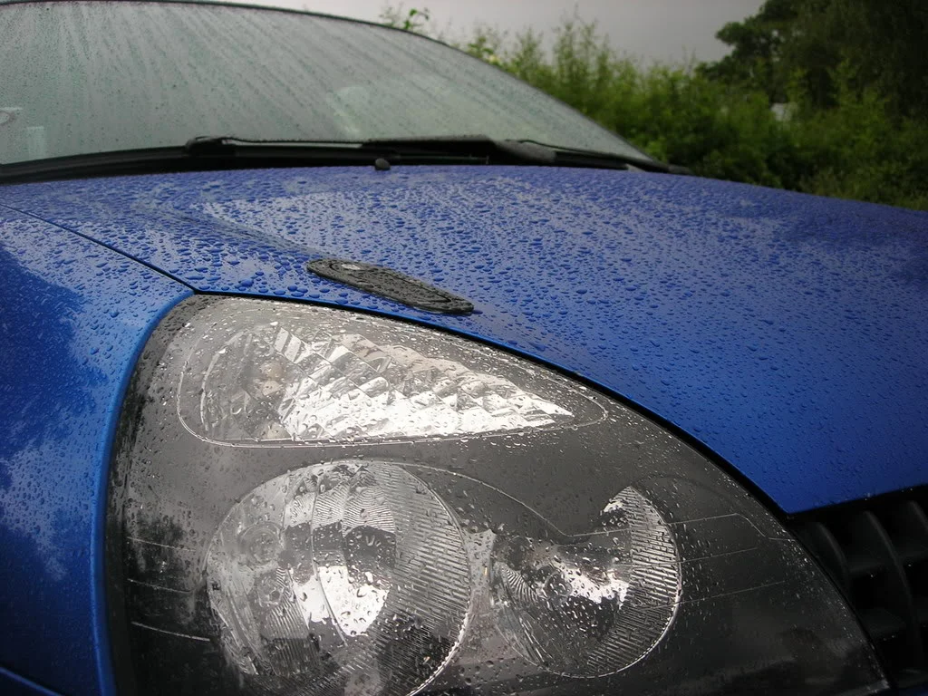 DSCN3433.webp