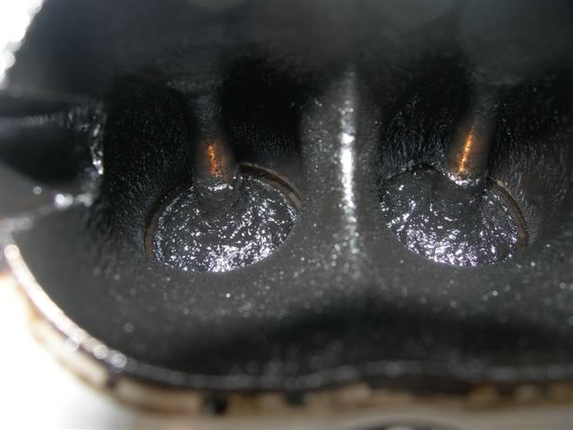 DSCN3443.jpg