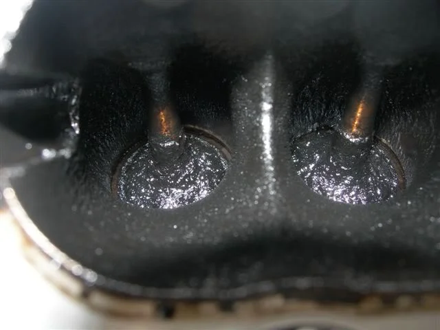 DSCN3443.webp