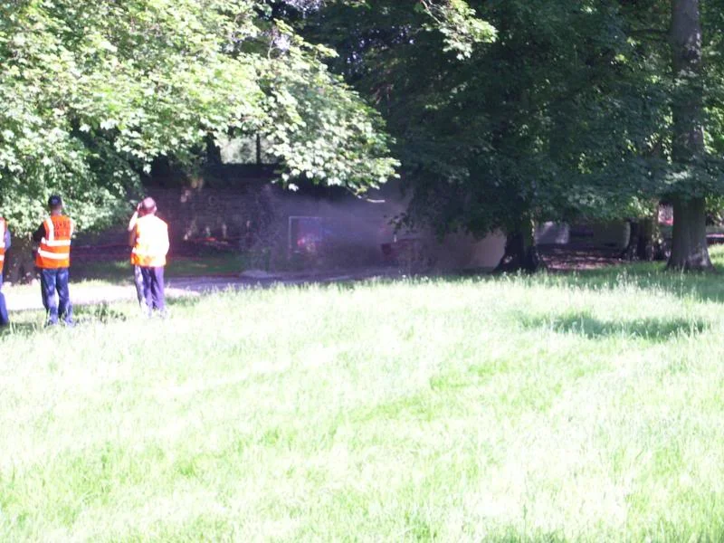 DSCN3786.webp