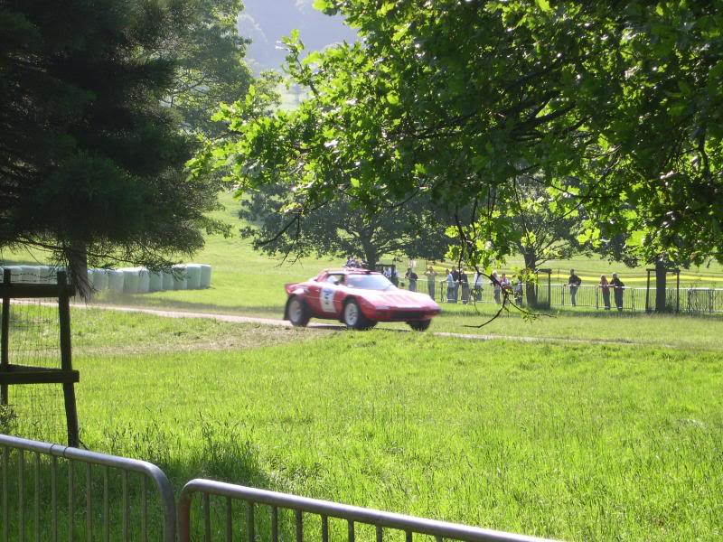 DSCN3787.jpg