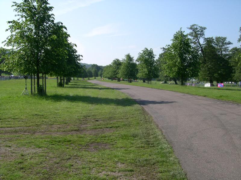DSCN3795.jpg