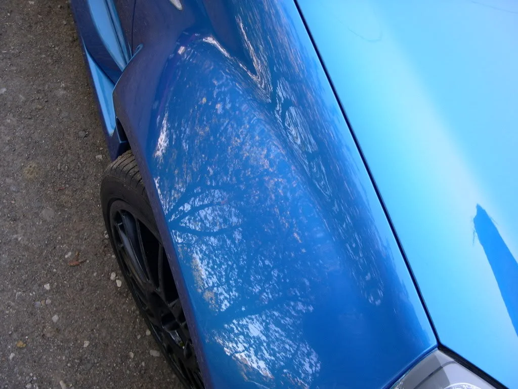 DSCN3854.webp