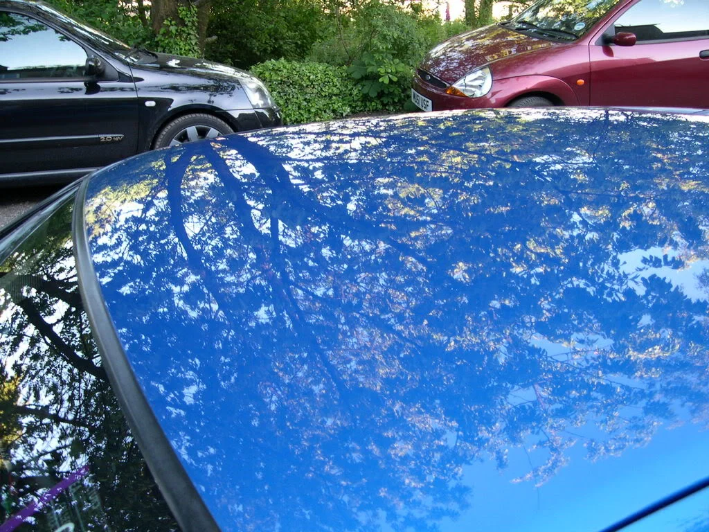 DSCN3857.webp