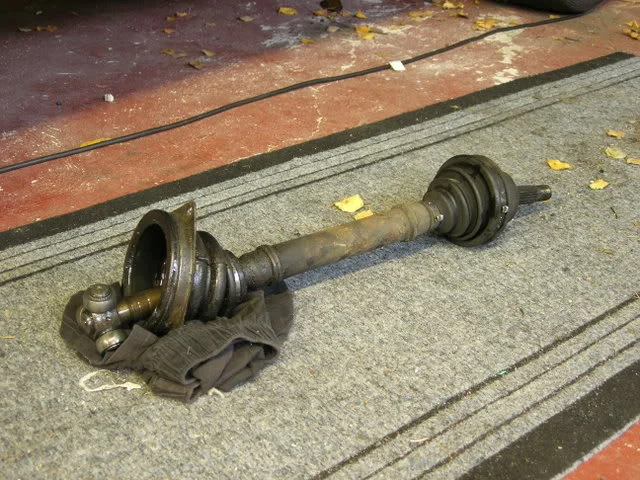 DSCN3863.webp