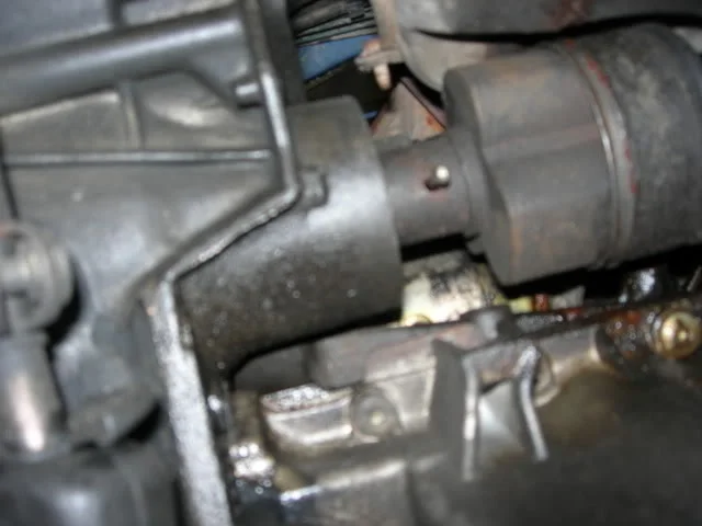 DSCN3867.webp
