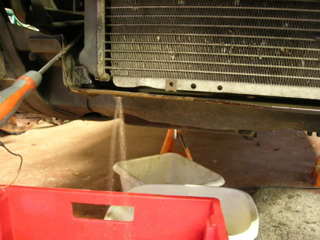 DSCN3874.webp