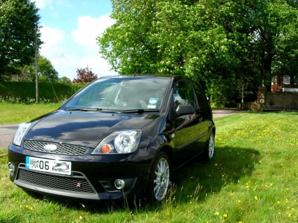 DSCN3997.webp