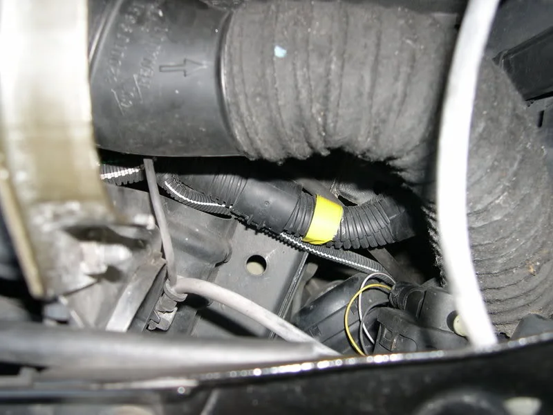 DSCN4105.webp