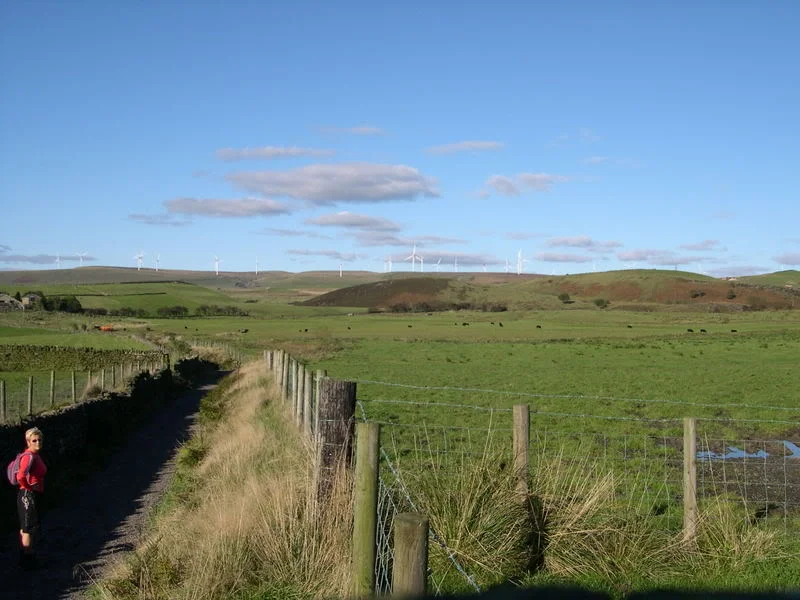 DSCN4127.webp