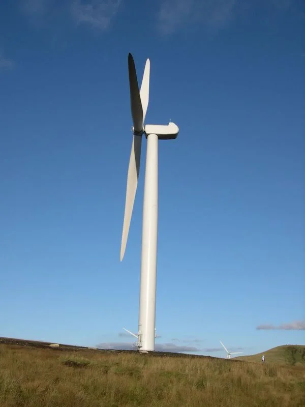 DSCN4131.webp