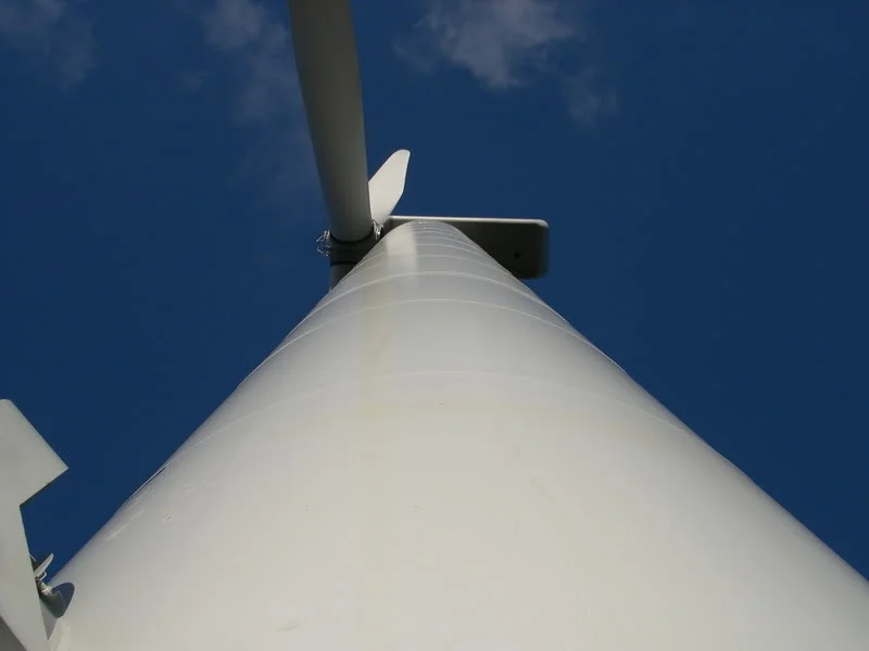 DSCN4135.webp