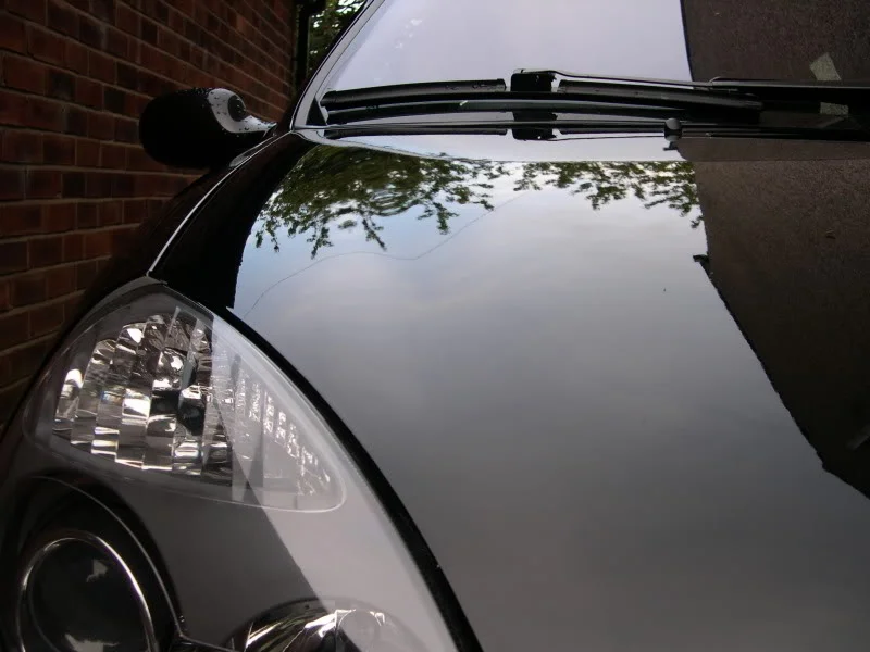 DSCN4406.webp