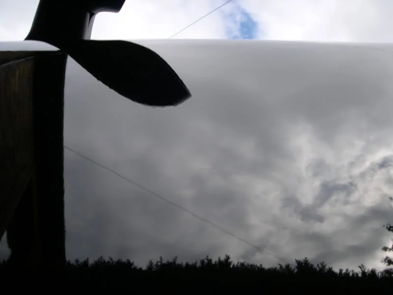 DSCN4417.webp