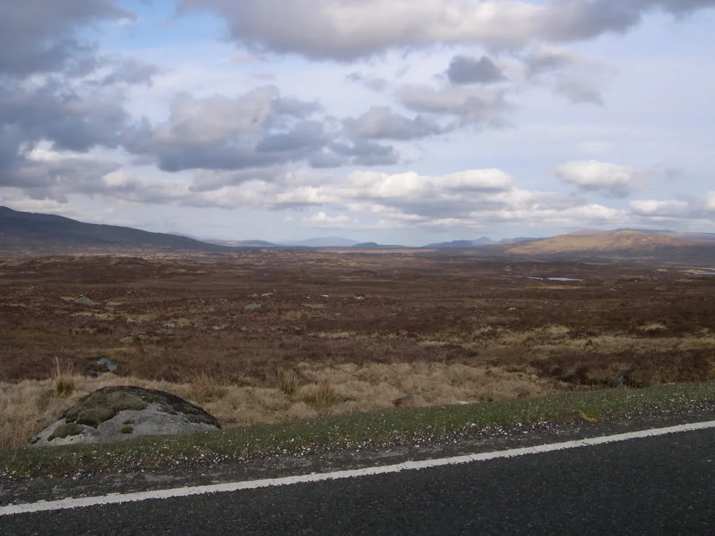DSCN4523.webp