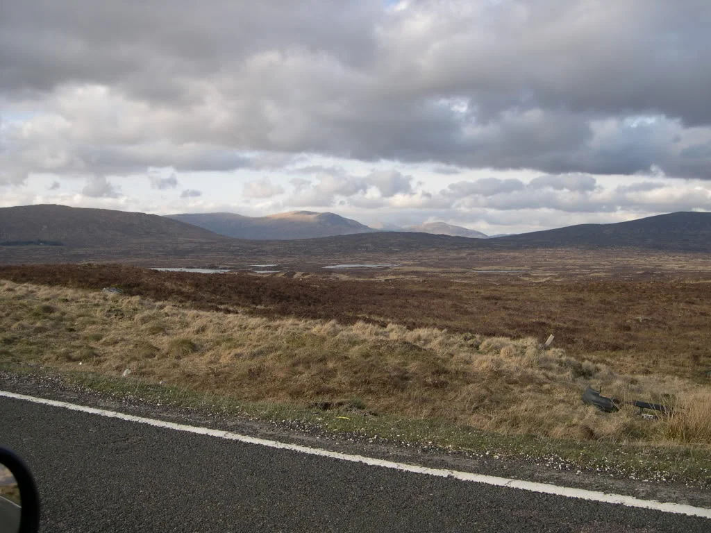 DSCN4524.webp