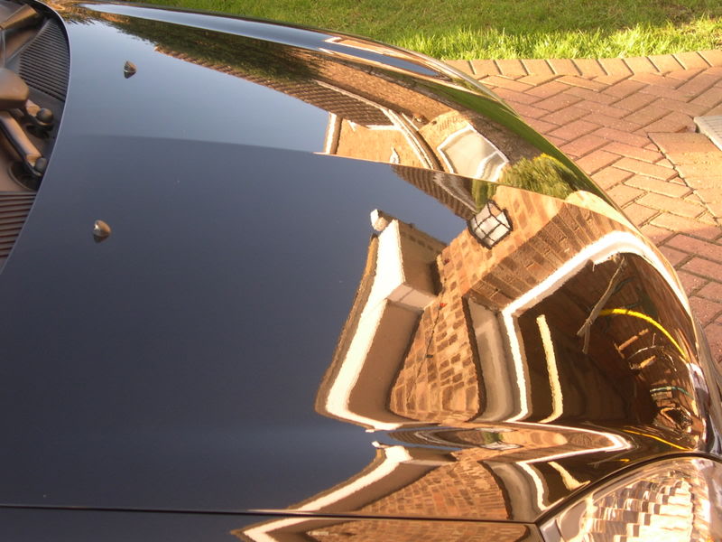 DSCN4586.jpg