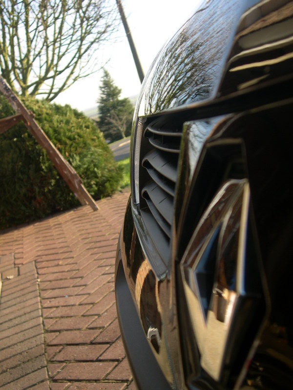 DSCN4609.jpg
