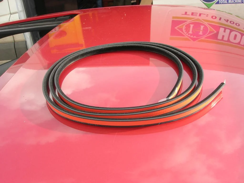 DSCN4853.webp