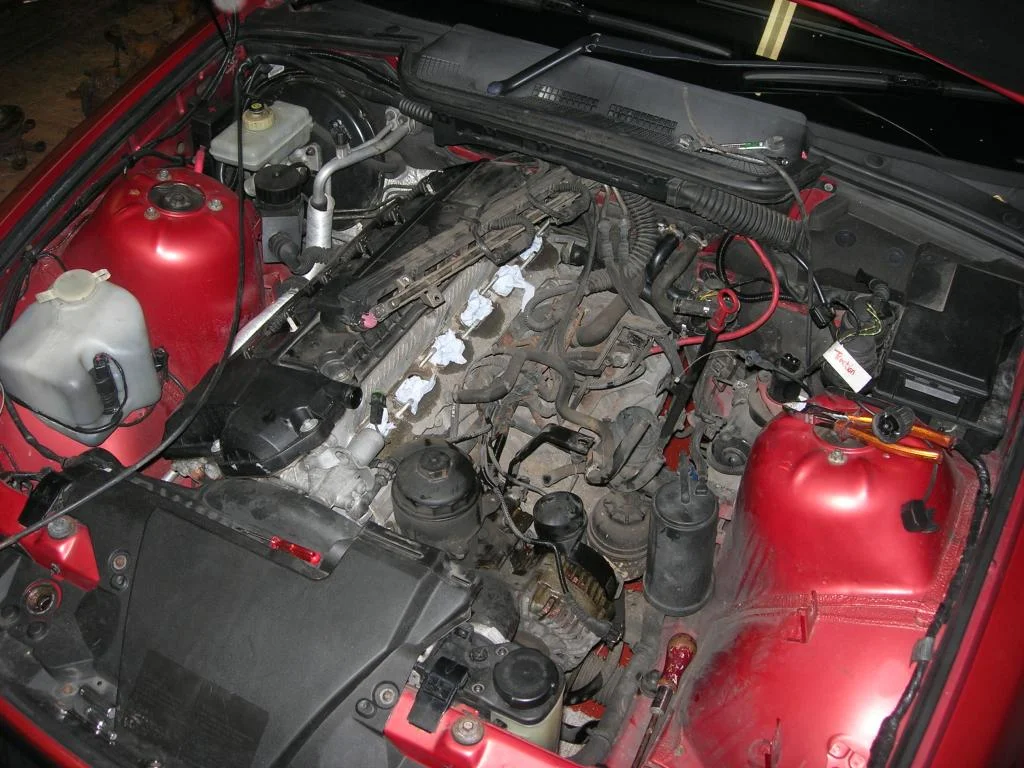 DSCN4857.webp