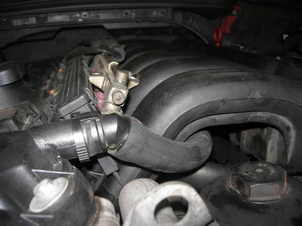 DSCN4876.webp