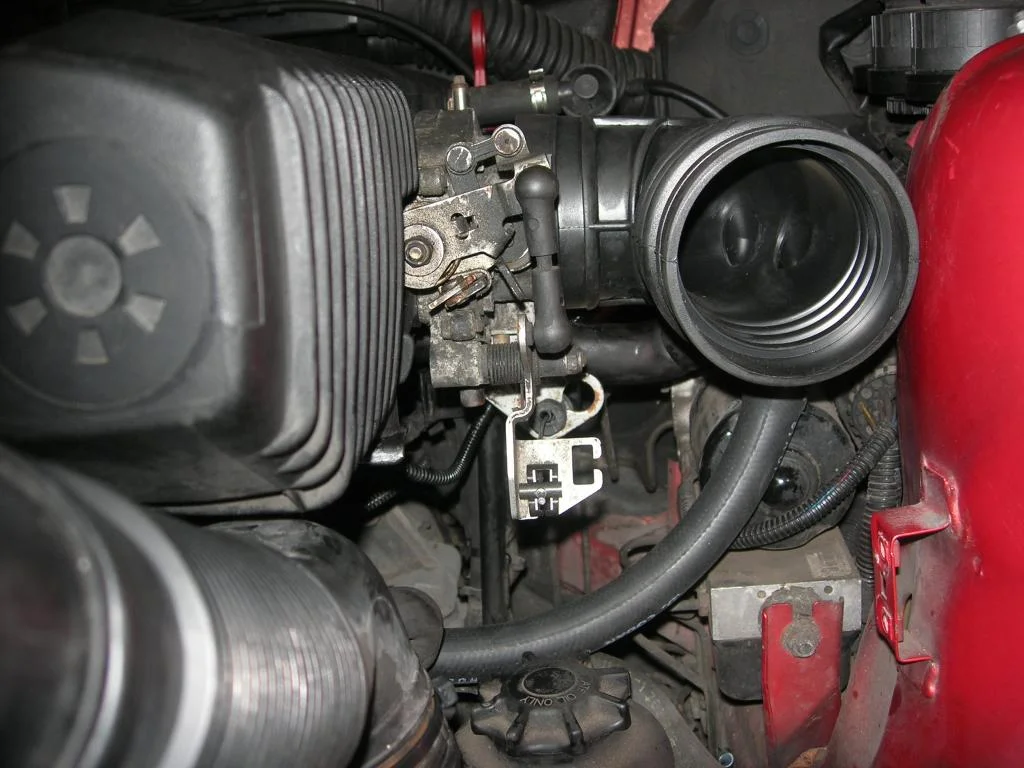DSCN4877.webp