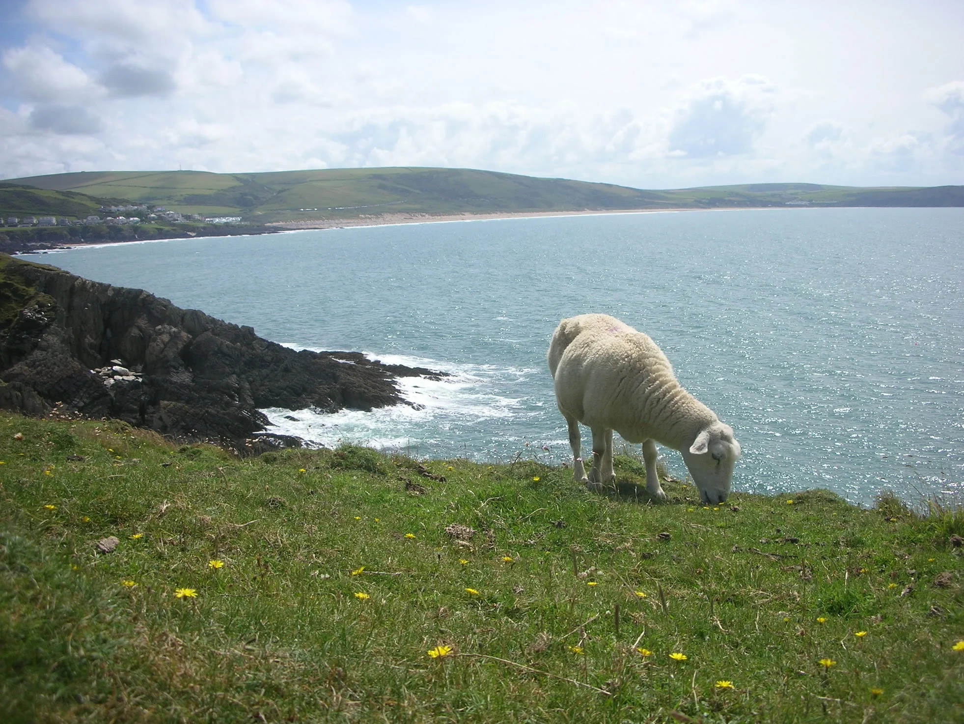 DSCN5075.webp