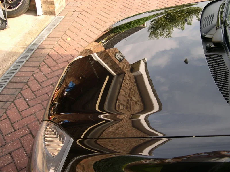 DSCN5119.webp