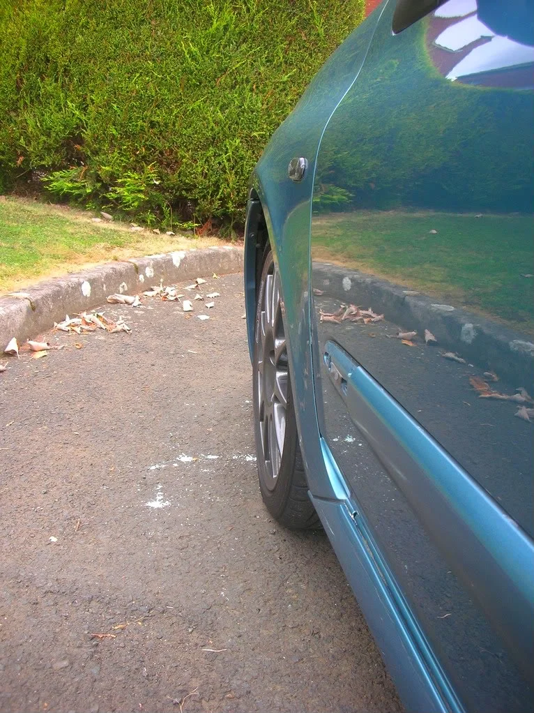 DSCN5313.webp