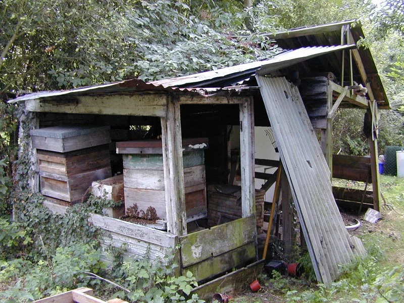 DSCN7104-old-shed_800x600.webp