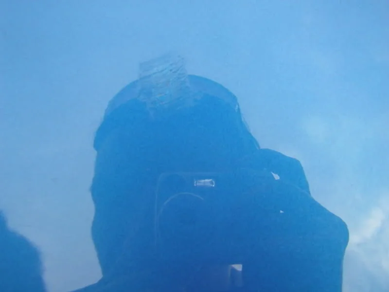 DSCN8706.webp