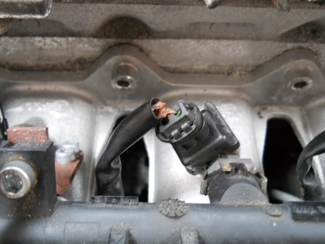 DSCN8830.jpg