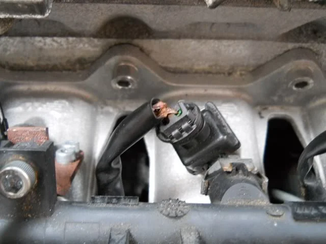 DSCN8830.webp