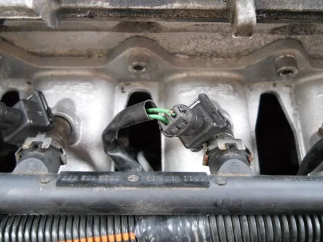 DSCN8831.webp