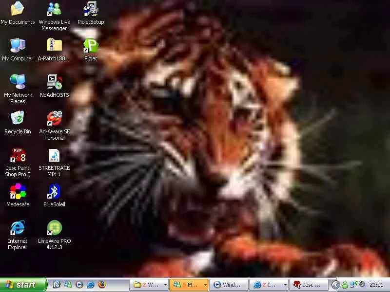 dt-1.webp