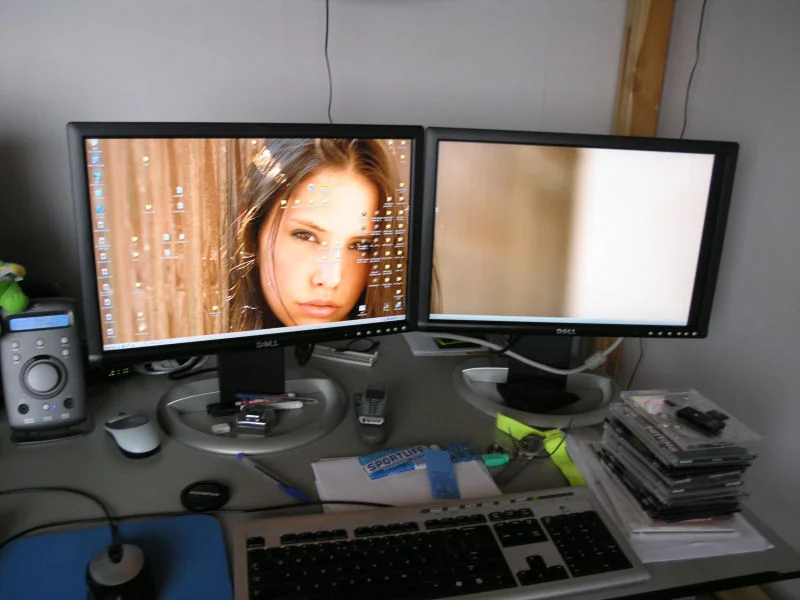dual1.webp