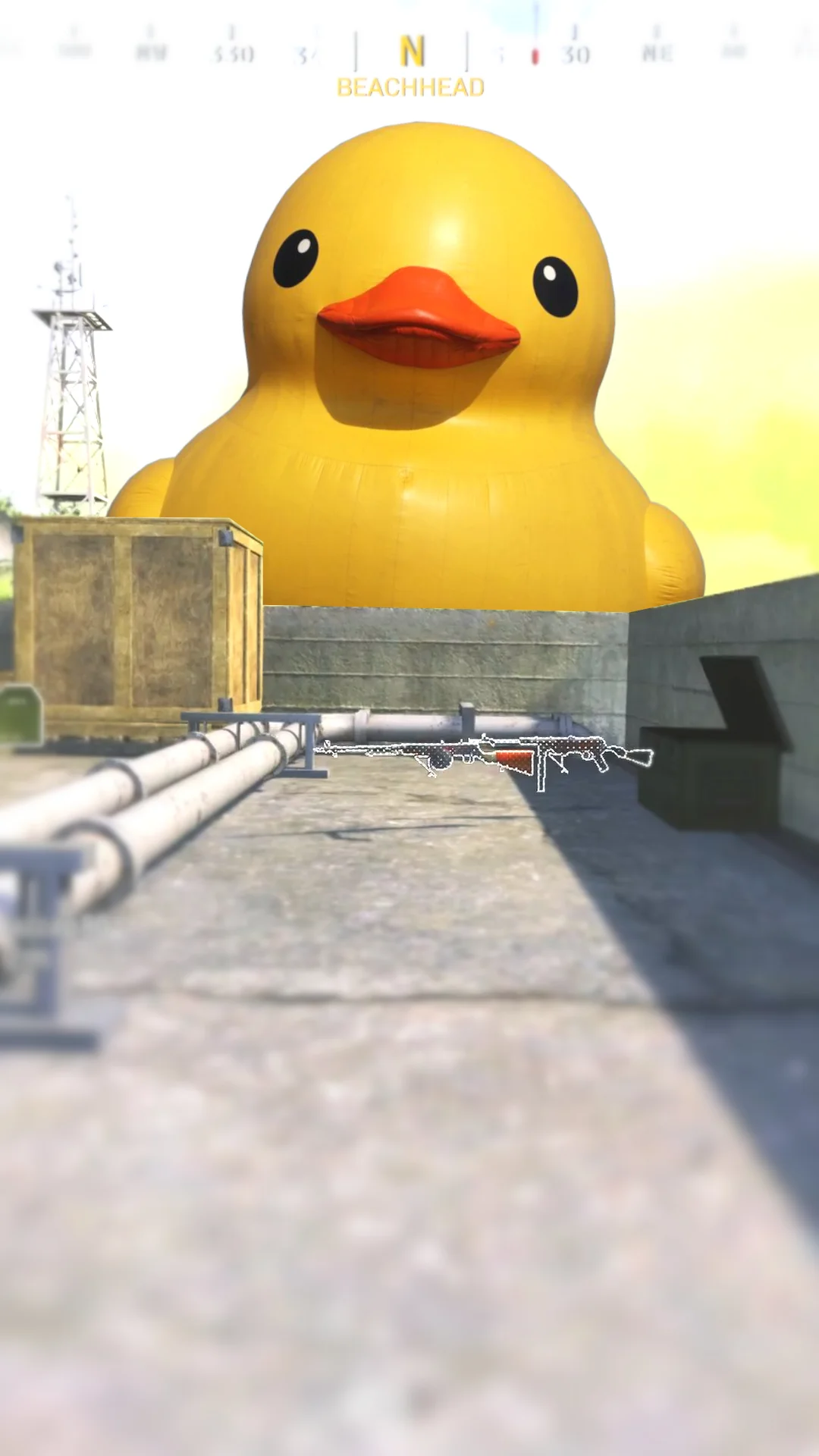 duck thumb.webp