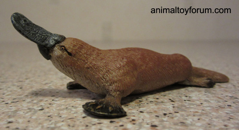 duckbilled_platypus_wild_safari_3.jpg