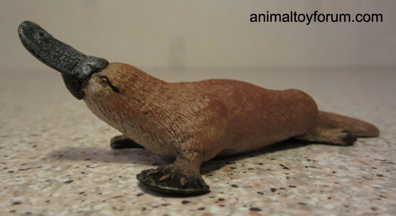 duckbilled_platypus_wild_safari_3.webp