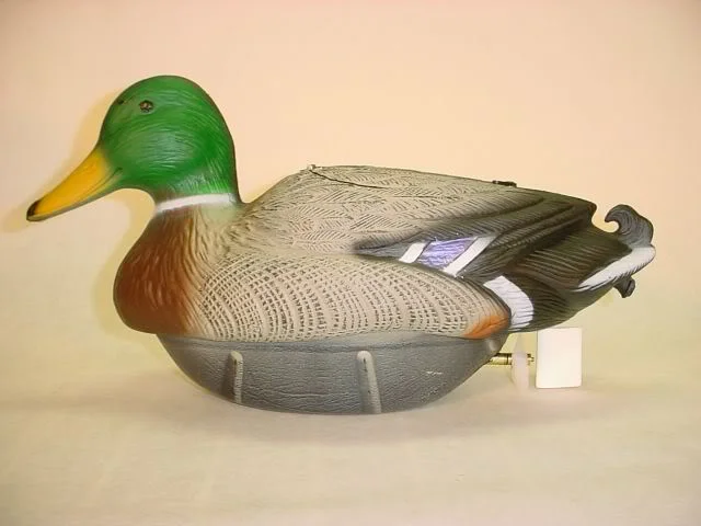DuckMallardDrake.webp