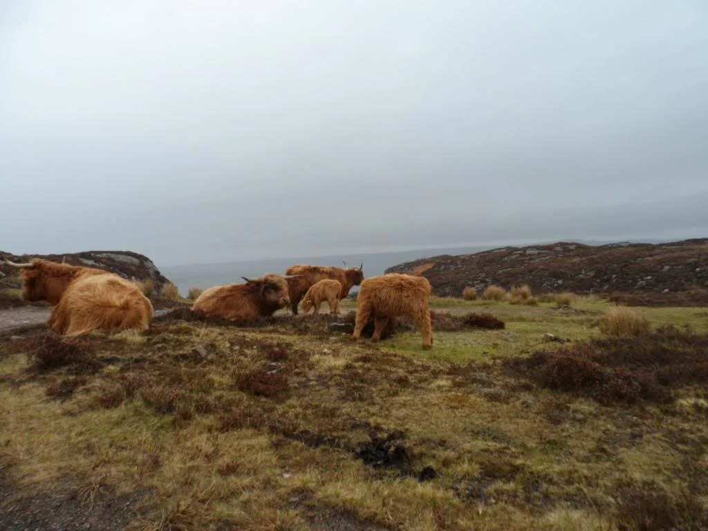 Duirinish2013043_zps9f73383e.webp