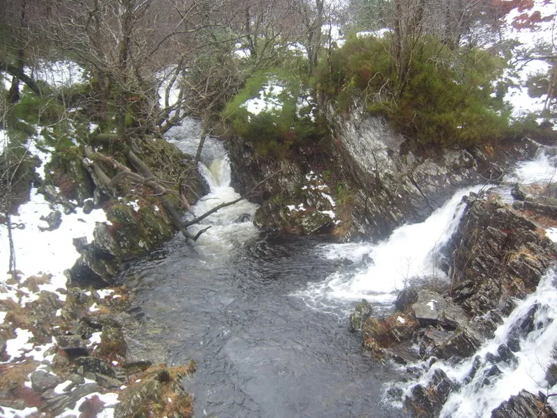 dukespass021.webp