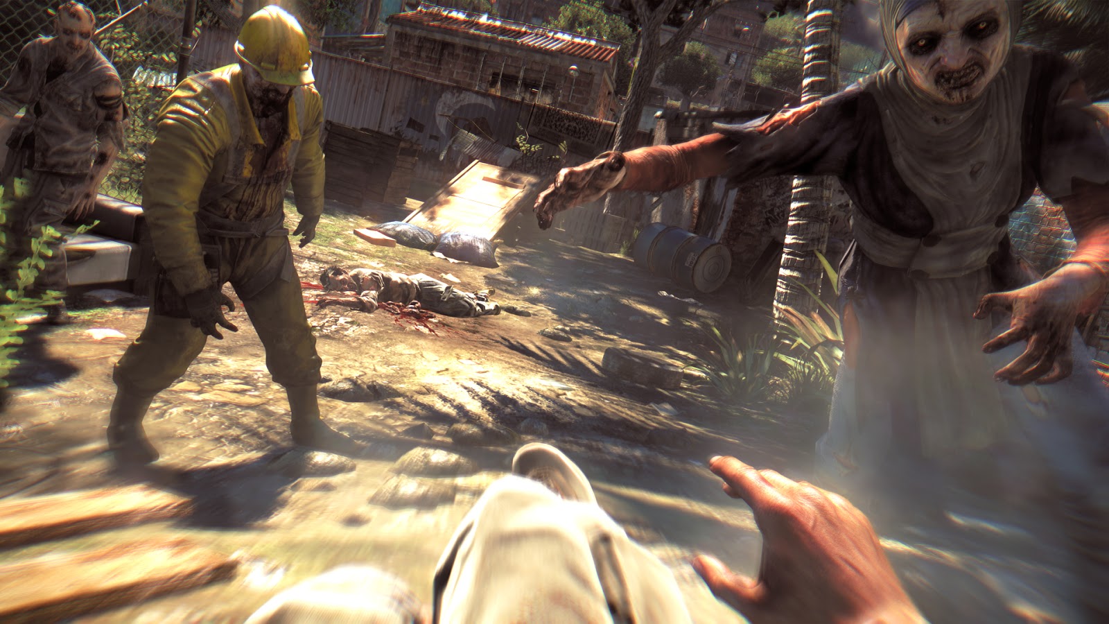 DyingLight_E3_final+(5)+copy.jpg