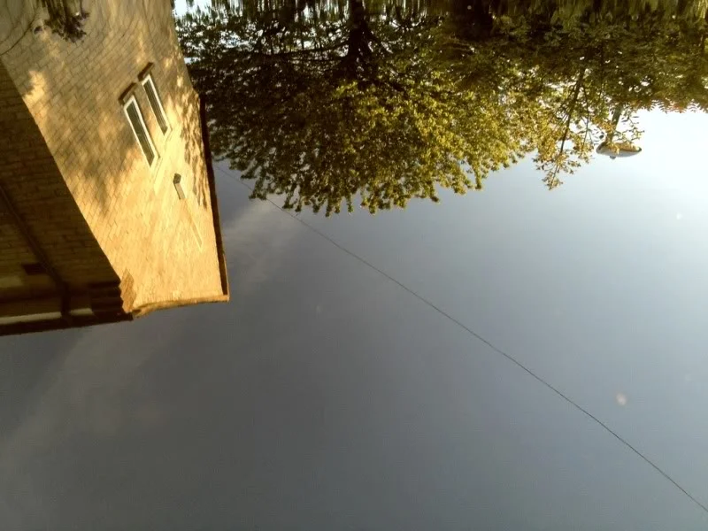 e09d2ef6.webp