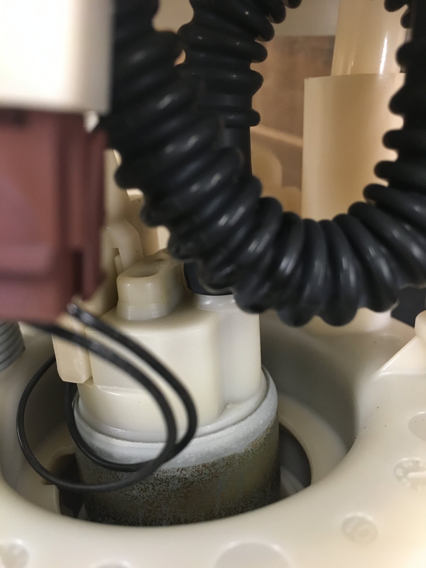 E29895D1-8966-4493-A7BC-B31B6AB41426.jpeg