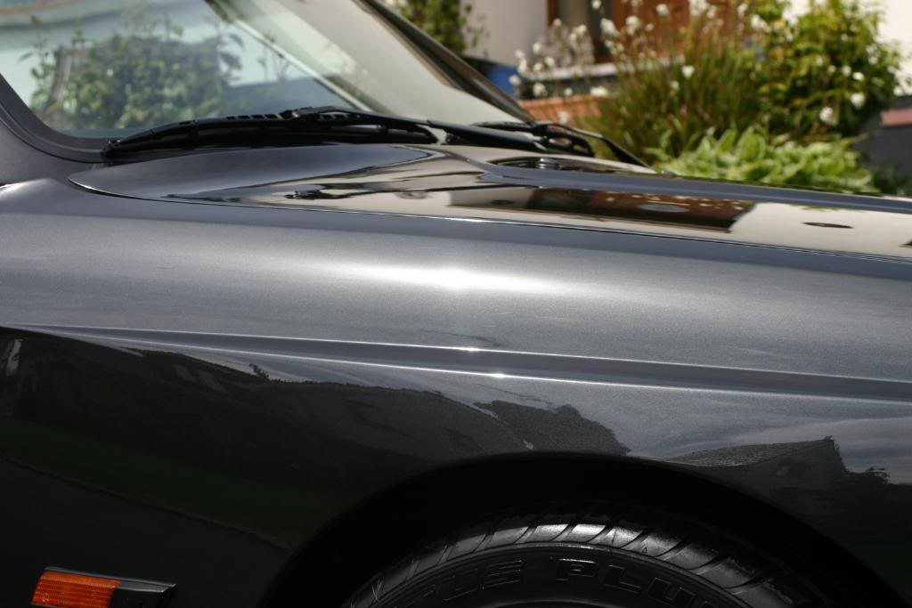 E30M3025.jpg